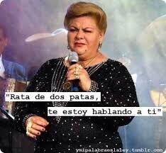 Rata de Dos Patas